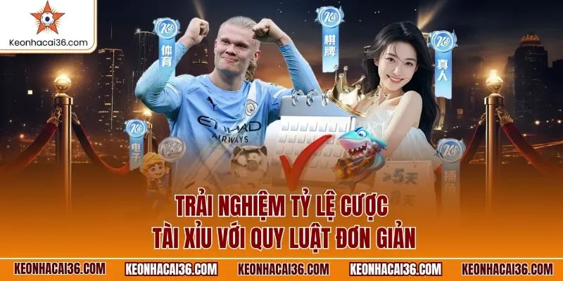 Trải nghiệm tỷ lệ cược tài xỉu với quy luật đơn giản